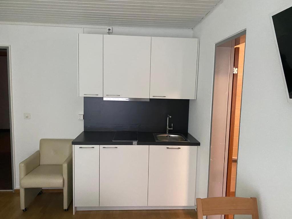 Studios With Kitchenette Birsfelden Exterior foto